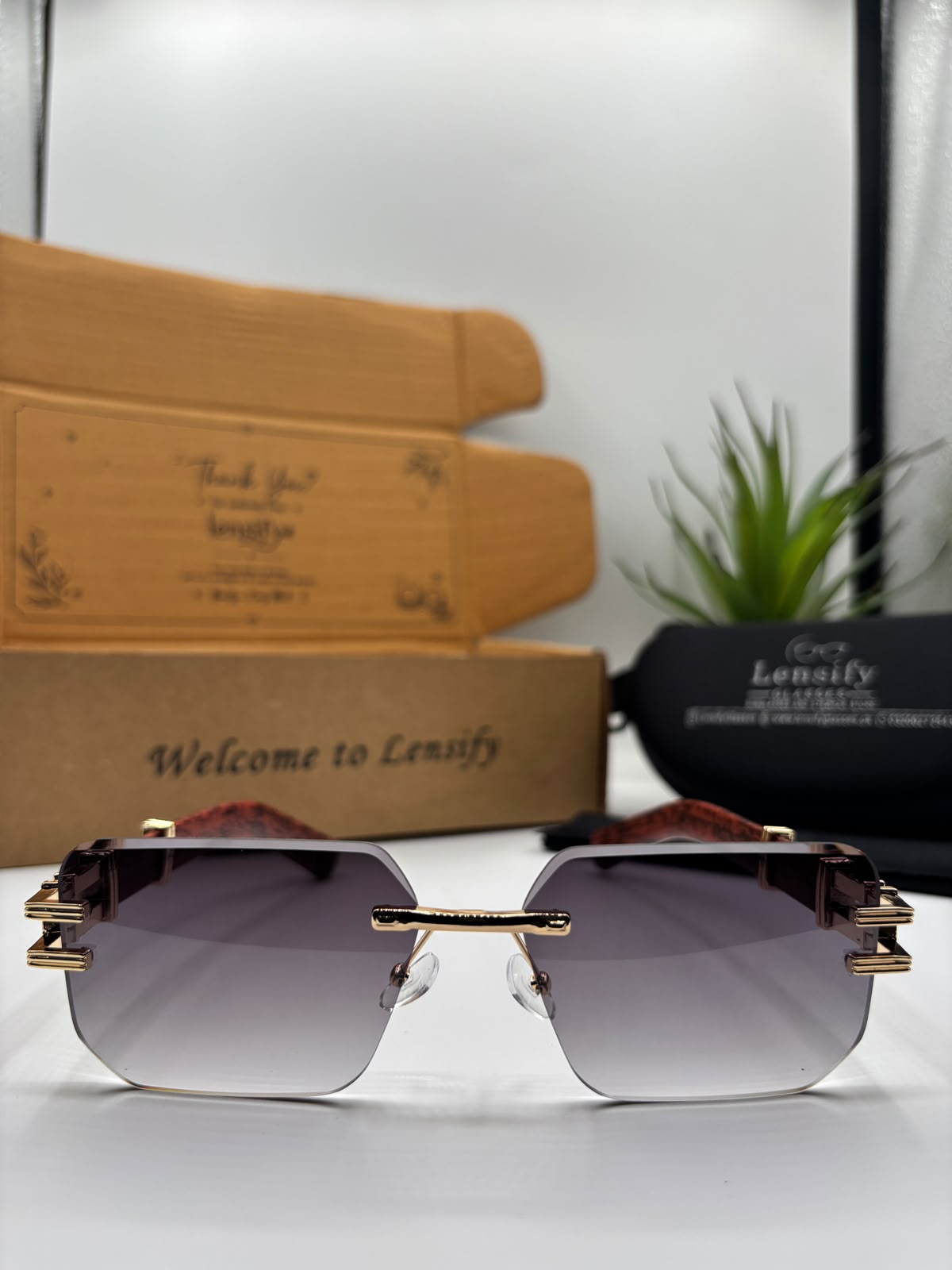 LIORA RIMLESS