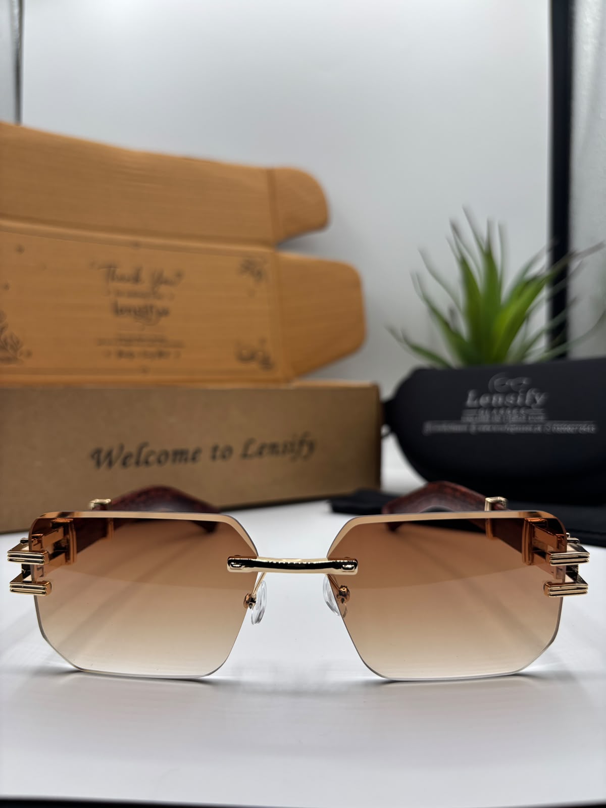 LIORA RIMLESS