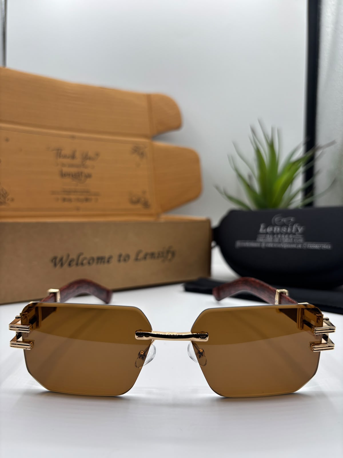 LIORA RIMLESS